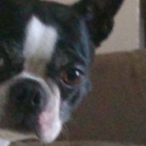 Meet your Posher, Hannah